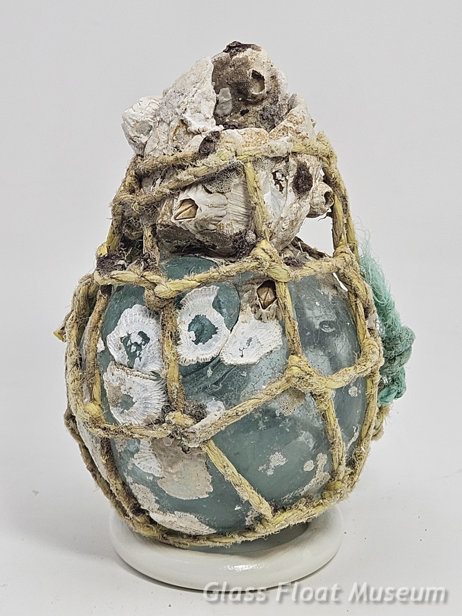 Barnacle Float, 3 Inch